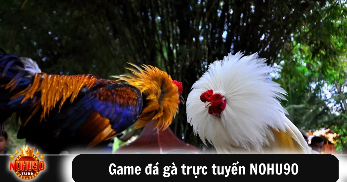 Game Đá Gà Trực Tuyến Nohu90 Theo Dõi Trận Đấu Kịch Tính 9 Game đá gà trực tuyến NOHU90 – Cuồng nhiệt cùng trận đấu gay cấn